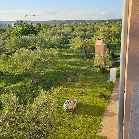 Apartment Borna *