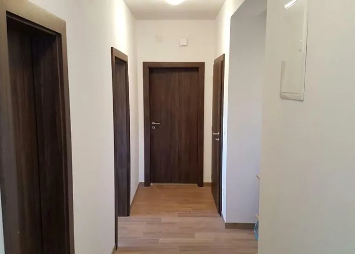 Borna * Сукошан