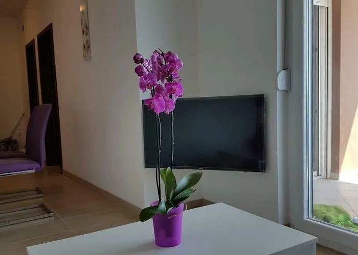 Borna Апартаменты *