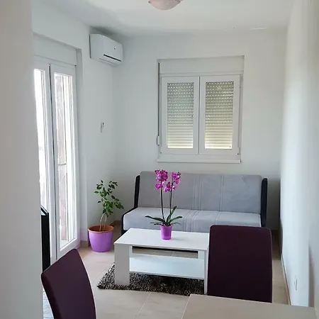 Apartment Borna