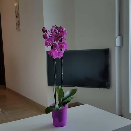 Borna Apartment *